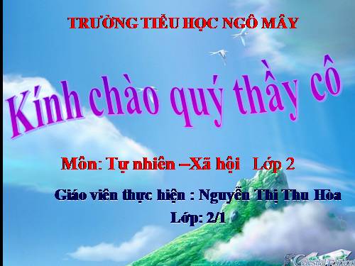 Bài 22. Cuộc sống xung quanh (tiếp theo)
