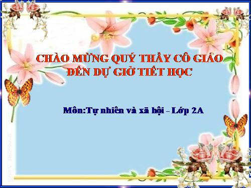 Bài 11. Gia đình