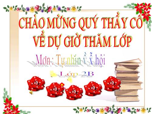 Bài 15. Trường học