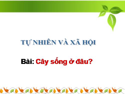 Bài 24. Cây sống ở đâu?