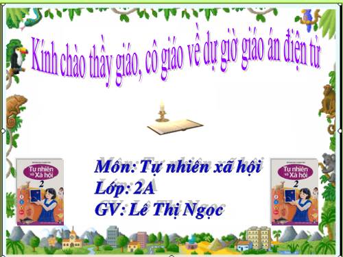 Bài 16. Các thành viên trong nhà trường