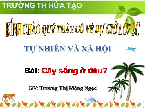 Bài 24. Cây sống ở đâu?