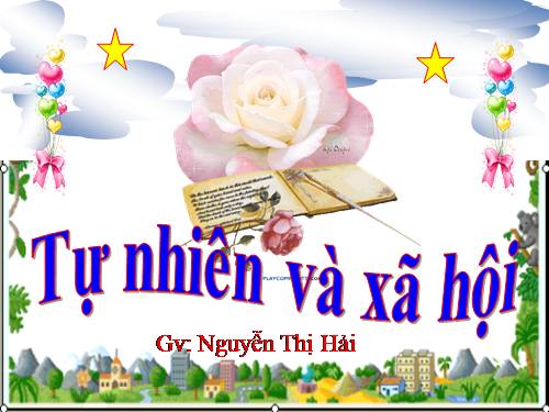 Bài 23. Ôn tập: Xã hội