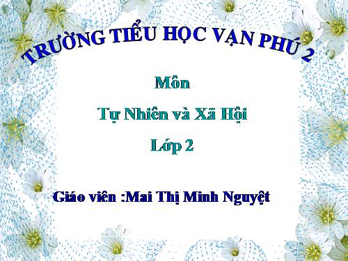 Bài 11. Gia đình