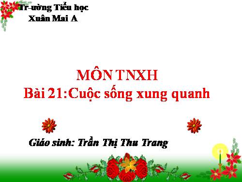 Bài 21. Cuộc sống xung quanh