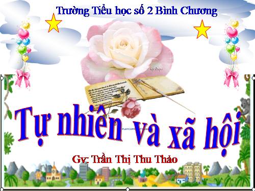 Bài 23. Ôn tập: Xã hội
