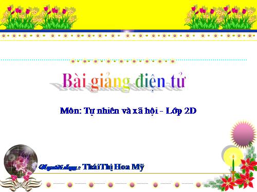 Bài 24. Cây sống ở đâu?
