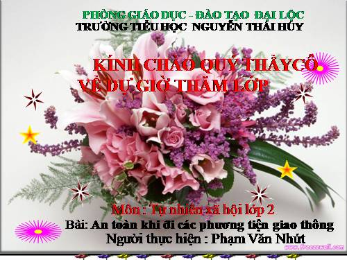 Bài 20. An toàn khi đi các phương tiện giao thông