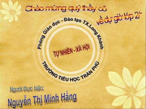 Bài 20. An toàn khi đi các phương tiện giao thông