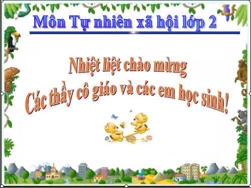 Bài 31. Mặt Trời