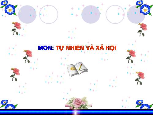 Bài 17. Phòng tránh ngã khi ở trường