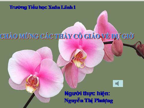 Bài 22. Cuộc sống xung quanh (tiếp theo)