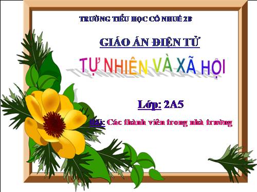 Bài 16. Các thành viên trong nhà trường
