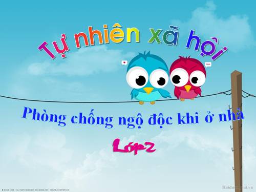 Bài 14. Phòng tránh ngộ độc khi ở nhà