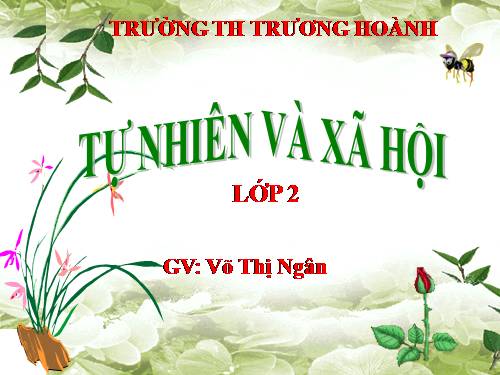 Bài 12. Đồ dùng trong gia đình