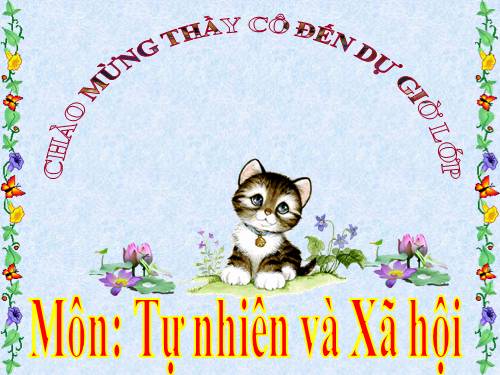 Bài 18. Thực hành: Giữ trường học sạch, đẹp