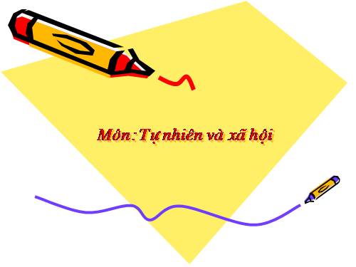 Bài 8. Ăn, uống sạch sẽ