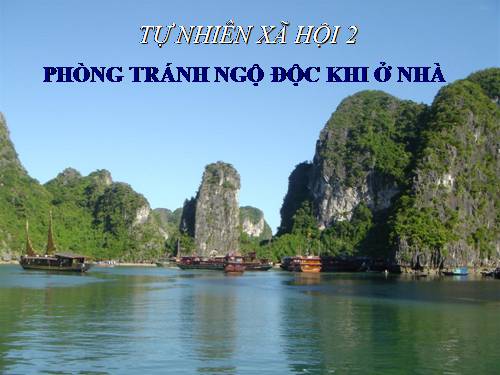 Bài 14. Phòng tránh ngộ độc khi ở nhà