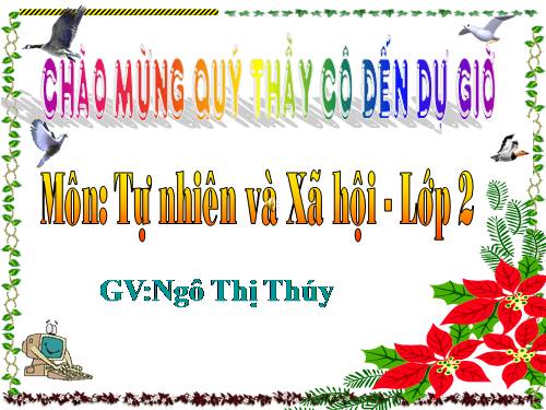 Bài 14. Phòng tránh ngộ độc khi ở nhà