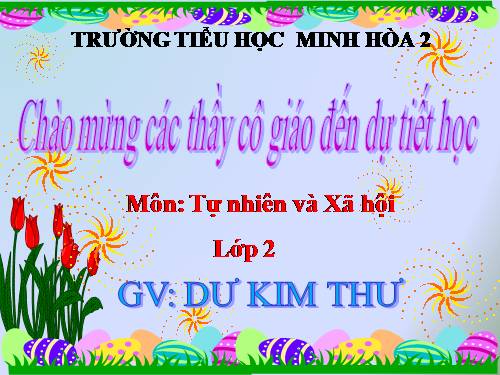 Bài 6. Tiêu hoá thức ăn
