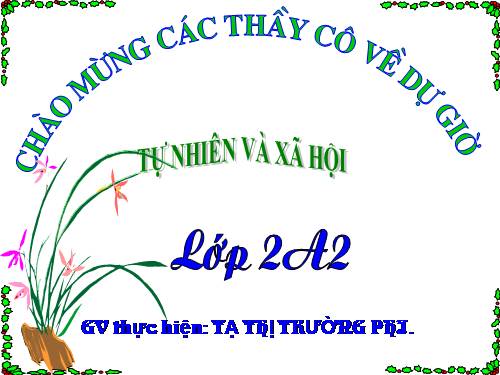 Bài 11. Gia đình