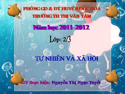 Bài 26. Một số loài cây sống dưới nước