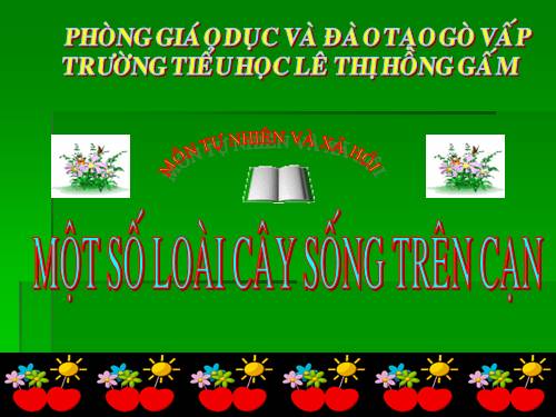 Bài 25. Một số loài cây sống trên cạn