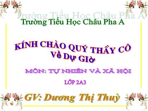 Bài 13. Giữ sạch môi trường xung quanh nhà ở