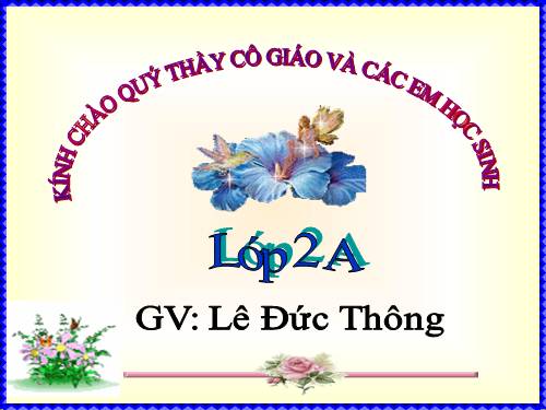 Bài 25. Một số loài cây sống trên cạn