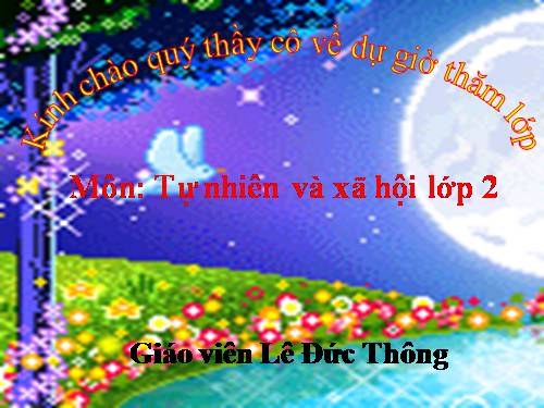 Bài 33. Mặt Trăng và các vì sao