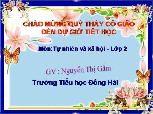 Bài 11. Gia đình