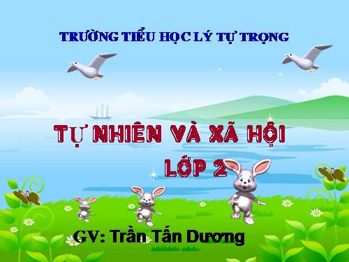 Bài 9. Đề phòng bệnh giun