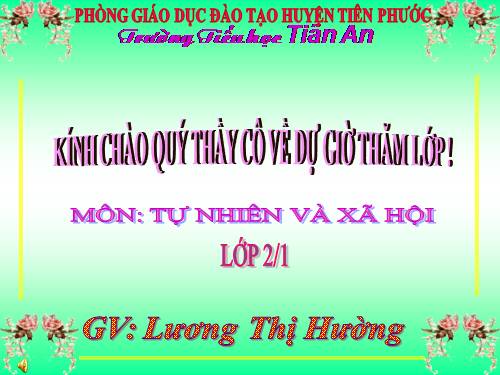 Bài 25. Một số loài cây sống trên cạn