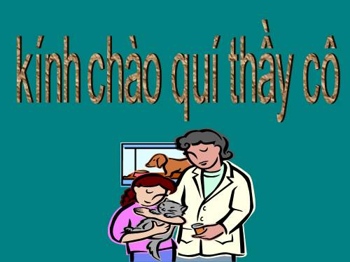 Bài 27. Loài vật sống ở đâu?