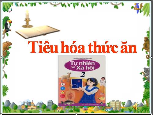 Bài 6. Tiêu hoá thức ăn
