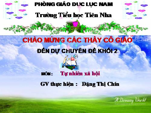 Bài 24. Cây sống ở đâu?