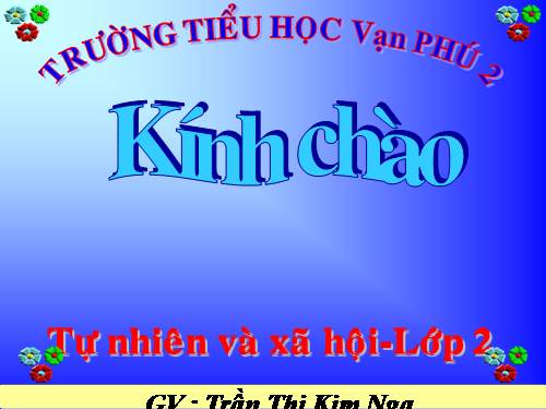 Bài 25. Một số loài cây sống trên cạn