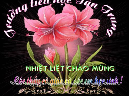 Bài 28. Một số loài vật sống trên cạn