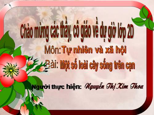 Bài 25. Một số loài cây sống trên cạn