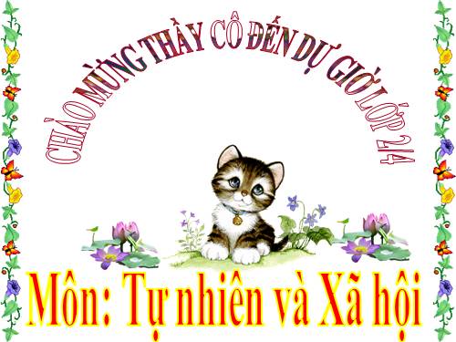 Bài 16. Các thành viên trong nhà trường