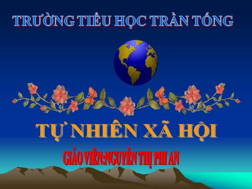 Bài 20. An toàn khi đi các phương tiện giao thông