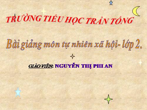 Bài 19. Đường giao thông