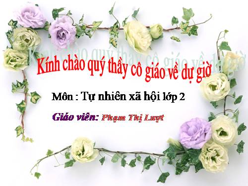 Bài 8. Ăn, uống sạch sẽ