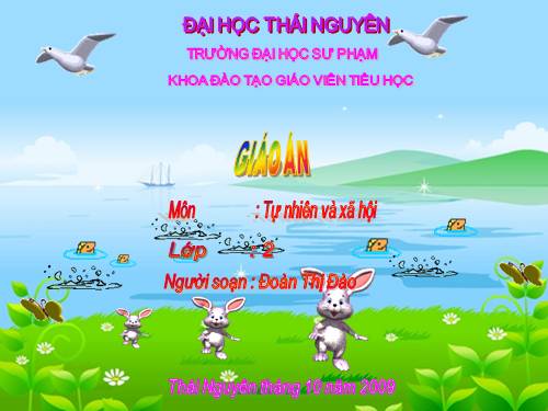 Bài 27. Loài vật sống ở đâu?