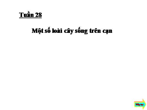 Bài 25. Một số loài cây sống trên cạn