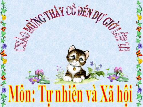 Bài 13. Giữ sạch môi trường xung quanh nhà ở