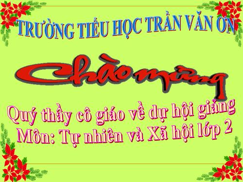 Bài 17. Phòng tránh ngã khi ở trường