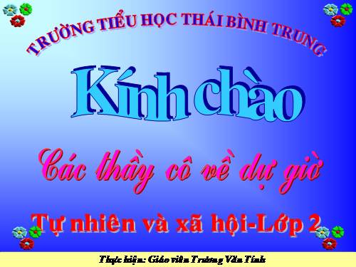 Bài 25. Một số loài cây sống trên cạn