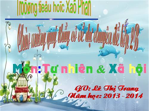 Bài 31. Mặt Trời