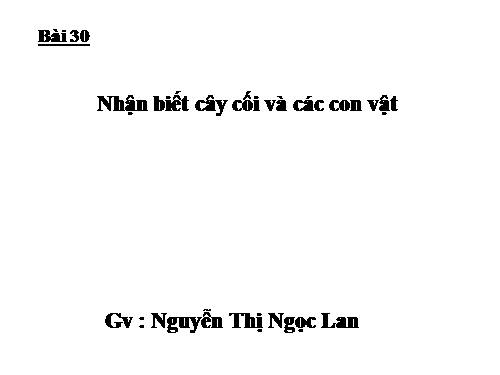 Bài 30. Nhận biết cây cối và các con vật